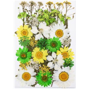 Dried Flowers No.22