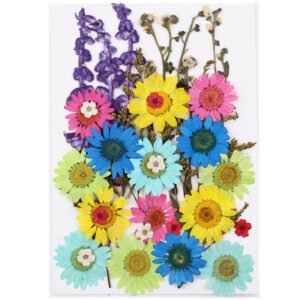 Dried Flowers No.5