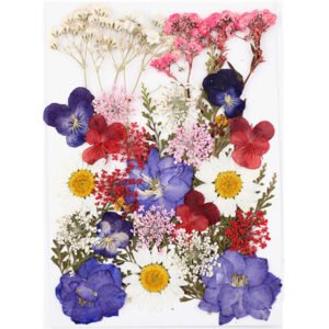Dried Flowers No.19