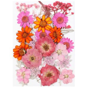 Dried Flowers No.20