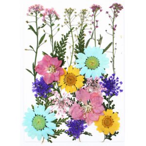 Dried Flowers No.23