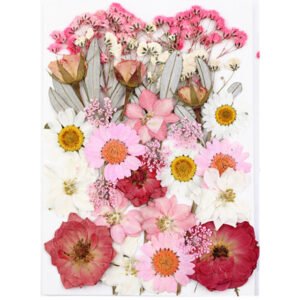Dried Flowers No.8