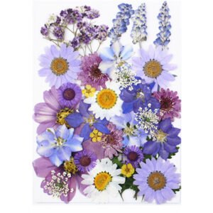 Dried Flowers No.7