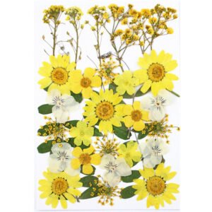 Dried Flowers No.18