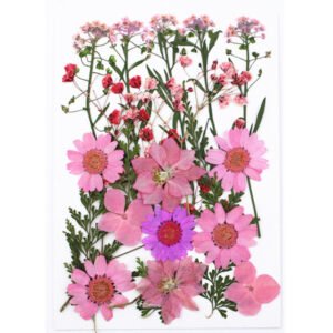 Dried Flowers No.3