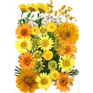 Dried Flowers No.24