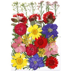 Dried Flowers No.4
