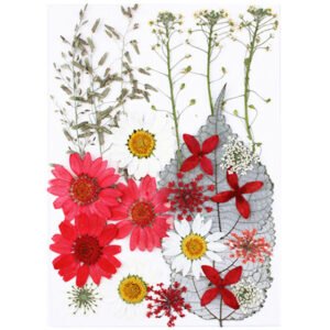Dried Flowers No.14