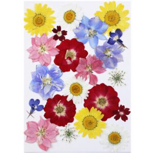 Dried Flowers No.16